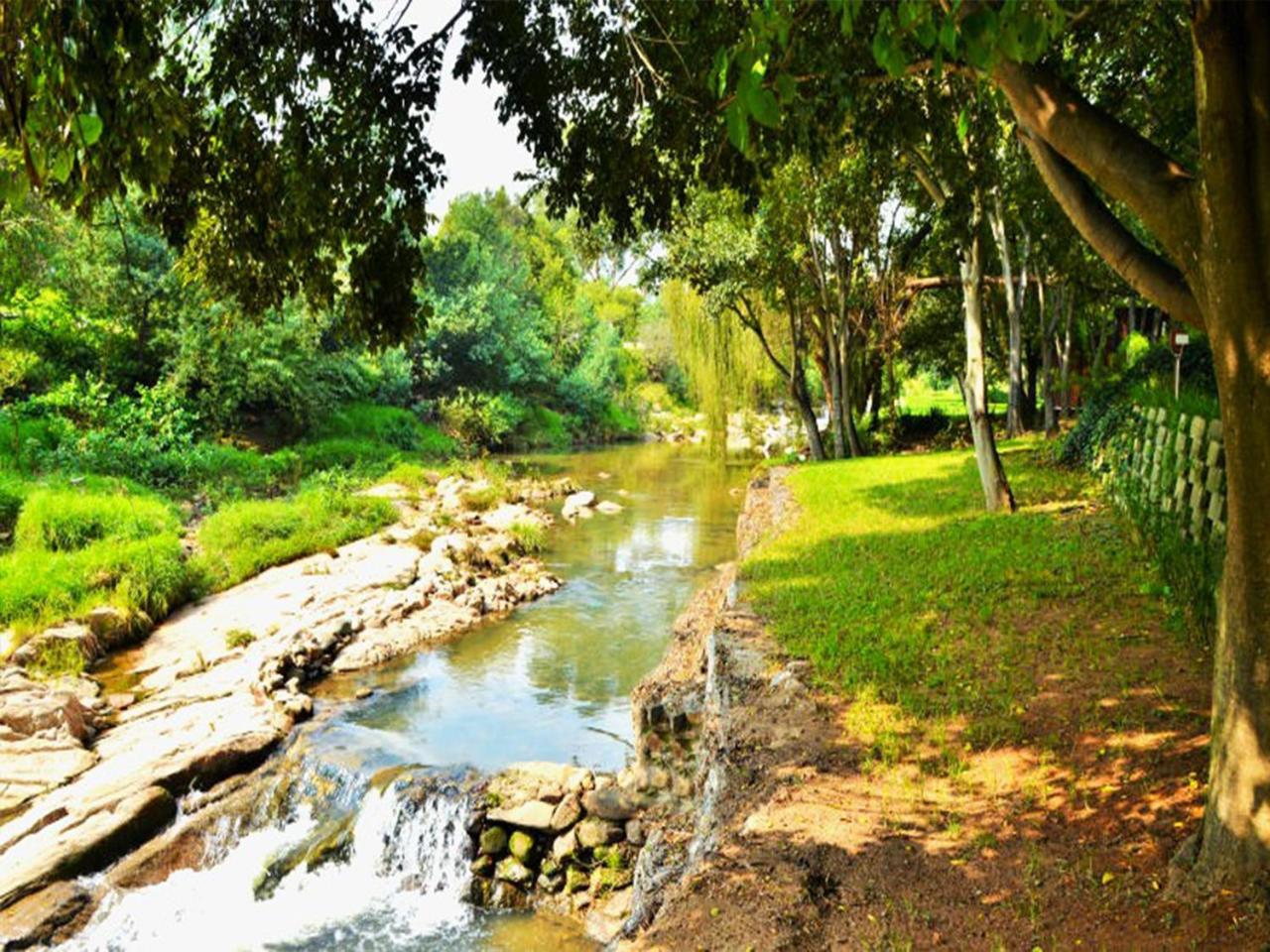 Sand River Guest House Johannesburg Buitenkant foto